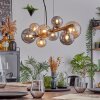 Chehalis Lámparas suspendidas, Luminarias esféricas, Lámparas colgantes Colores ámbar, Ahumado, 8 luces