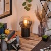 Koyoto Luminarias esféricas, Lámparas de escritorio, Lámparas de mesa Transparente, Ahumado, 1 luz