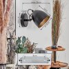 Bjedstrup Spot techo, Apliques, focos de pared Negro, 1 luz