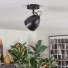 Bjedstrup Plafones, Spot techo, Spot de pared Negro, 1 luz