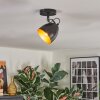Bjedstrup Plafones, Spot techo, Spot de pared Negro, 1 luz