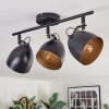 Bjedstrup Plafones, Spot techo Negro, 3 luces
