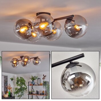 Gastor Plafones, Luminarias esféricas Transparente, Ahumado, 5 luces