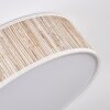 Antillo Plafones Blanca, 3 luces