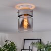 Hasvik Plafones, Spot techo Blanca, 1 luz