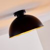 Nome Lámpara de techo Negro, 1 luz