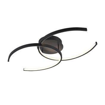 Guinea Lámpara de Techo LED Antracita, 2 luces