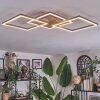 Brina Plafones LED Marrón, dorado, 1 luz