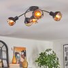 Qaran Plafones Negro, 5 luces