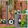 Sessa Iluminación de caminos Antracita, 1 luz, Sensor de movimiento
