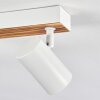 Gesteira Plafones, Spot techo Crudo, Blanca, 6 luces
