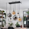 Gastor Lámparas suspendidas, Luminarias esféricas, Lámparas colgantes Colores ámbar, Transparente, Ahumado, 6 luces