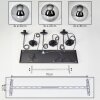Gastor Lámparas suspendidas, Luminarias esféricas, Lámparas colgantes Ahumado, 8 luces