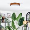 Sofo Plafones, Panel LED Blanca, 1 luz
