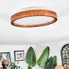 Sofo Plafones, Panel LED Blanca, 1 luz