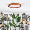 Sofo Plafones, Panel LED Blanca, 1 luz