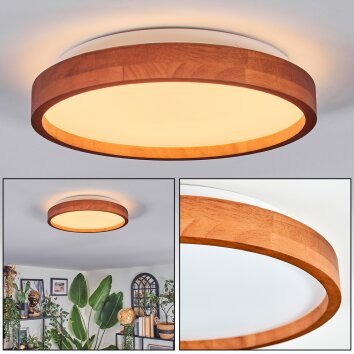 Sofo Plafones, Panel LED Blanca, 1 luz