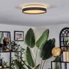 Sofo Plafones, Panel LED Blanca, 1 luz