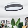 Sofo Plafones, Panel LED Blanca, 1 luz