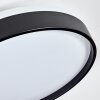 Sofo Plafones, Panel LED Blanca, 1 luz