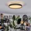 Sofo Plafones, Panel LED Blanca, 1 luz