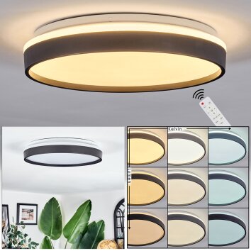 Sofo Plafones, Panel LED Blanca, 1 luz, Mando a distancia