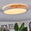 Cadaixo Plafones, Panel LED Blanca, 1 luz