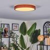 Sofo Plafones, Panel LED Blanca, 1 luz, Mando a distancia