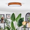 Sofo Plafones, Panel LED Blanca, 1 luz, Mando a distancia