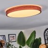 Sofo Plafones, Panel LED Blanca, 1 luz, Mando a distancia