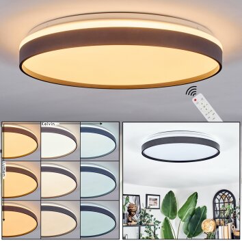 Sofo Plafones, Panel LED Blanca, 1 luz, Mando a distancia