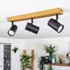 Gesteira Plafones, Spot techo Crudo, Negro, 3 luces