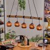Ripoll Lámparas suspendidas, Luminarias esféricas, Lámparas colgantes Crudo, Negro, 5 luces