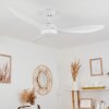 Follseland Ventilador de techo LED Blanca, 1 luz, Mando a distancia
