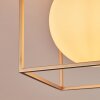 Finnseter Lámpara de Techo Color champán, 2 luces