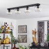 Koyoto  Lámpara Colgante Cristal 15 cm Transparente, 4 luces