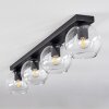 Koyoto  Lámpara Colgante Cristal 15 cm Transparente, 4 luces