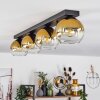 Koyoto  Lámpara Colgante Cristal 15 cm dorado, Transparente, 4 luces