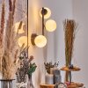 Chehalis Luminarias esféricas, Apliques Blanca, 3 luces