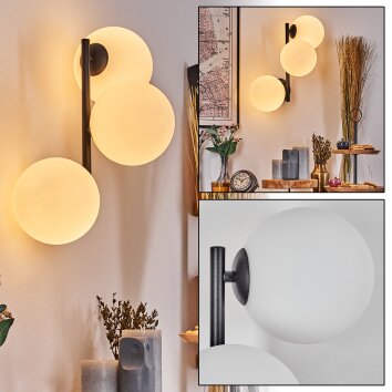 Chehalis Luminarias esféricas, Apliques Blanca, 3 luces