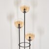 Gastor Lámpara de pie 30 cm Madera clara, Negro, 3 luces