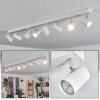 Gesteira Blanca, 8 luces