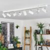 Gesteira Blanca, 8 luces