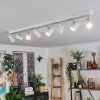 Gesteira Blanca, 8 luces