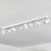 Gesteira Blanca, 8 luces