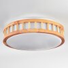 Amarelos Plafones LED Crudo, Blanca, 1 luz