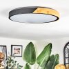 Cadaixo Plafones LED Crudo, Negro, 1 luz, Mando a distancia