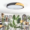 Cadaixo Plafones LED Crudo, Negro, 1 luz, Mando a distancia