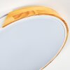 Cadaixo Plafones LED Crudo, Blanca, 1 luz, Mando a distancia