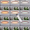 Sofo Plafones LED Crudo, 1 luz, Mando a distancia